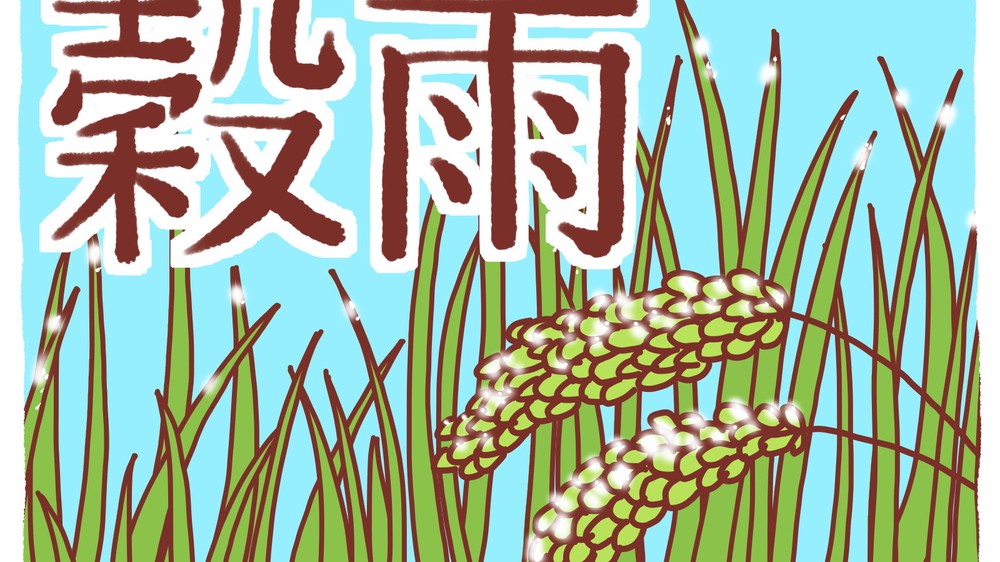 kokuu-season-habits.jpgの様子