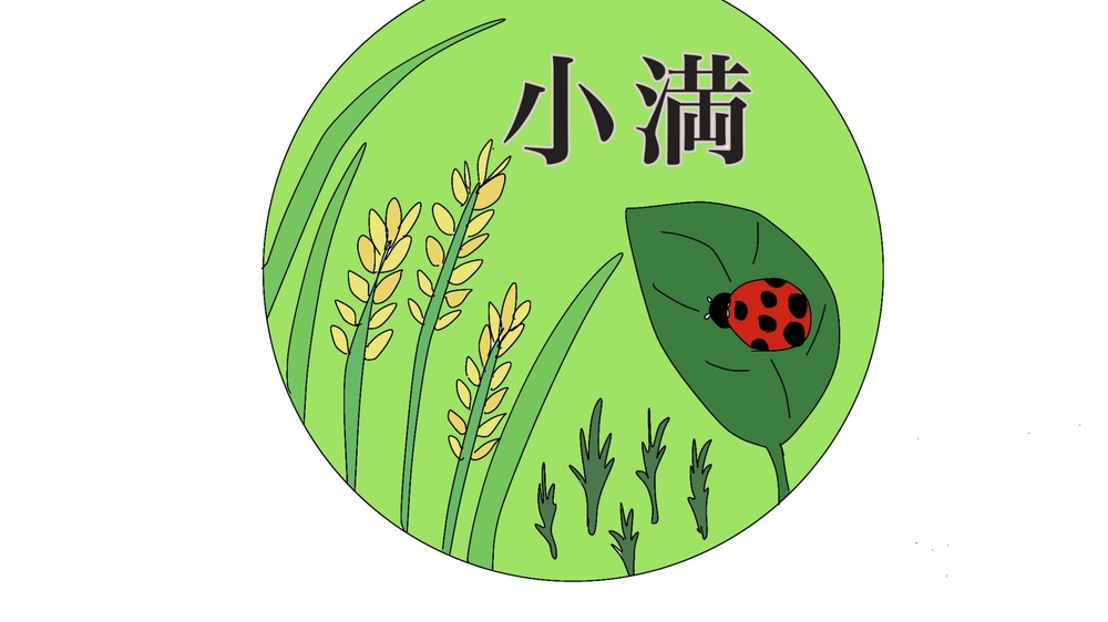 青々とした葉っぱの上にテントウムシがとまっているイラスト