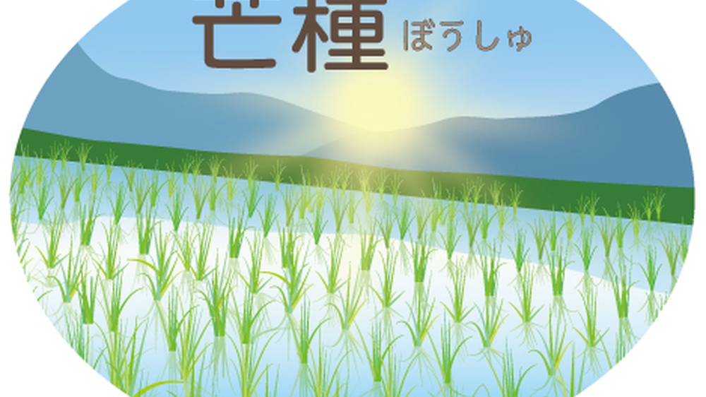 朝日に照らされる田んぼのイラスト